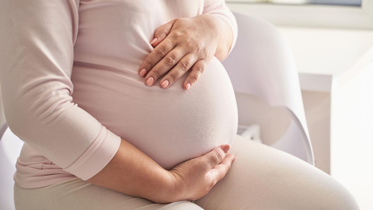 elenavolf | Shutterstock.com