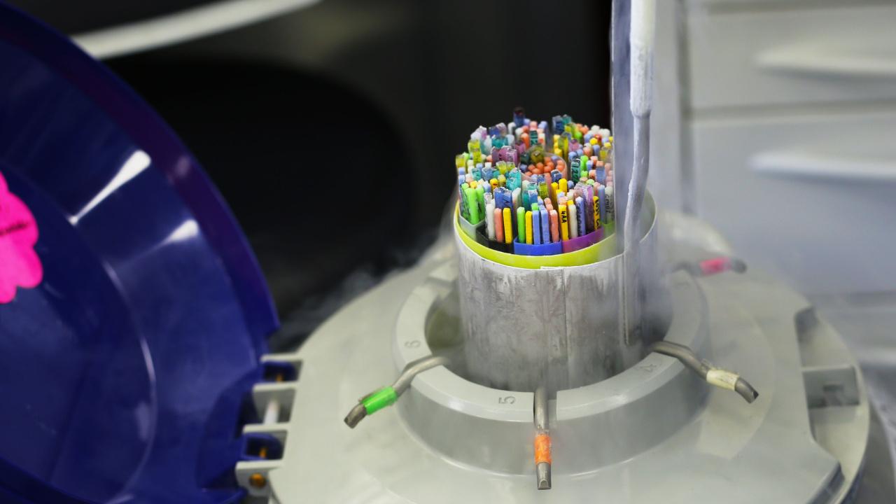 Embrionų ir lytinių ląstelių šaldymas