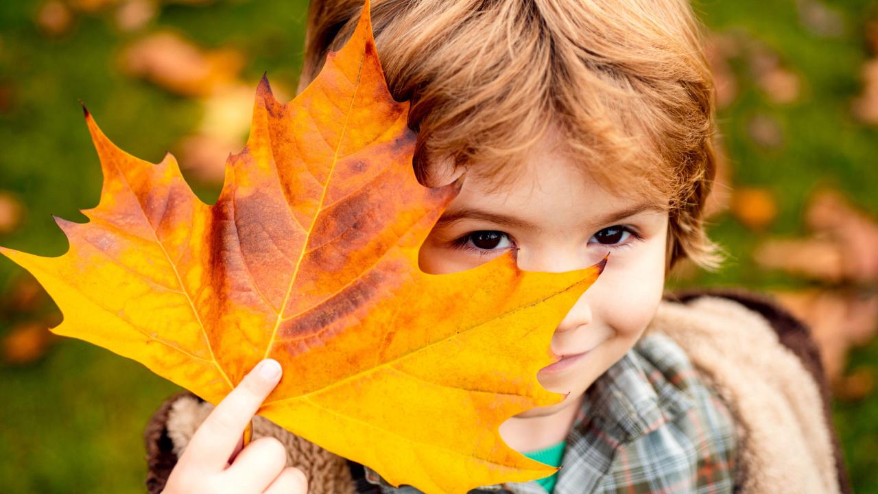 Berniukas su rudeniniu klevo lapu