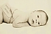 buskutesandra
