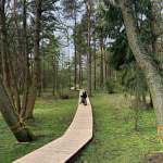 Eglisakis