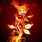 Flamme