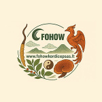Fohow