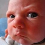 JMDB