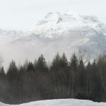 kalnai miškai