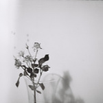 Kunigaikščio_Ašara