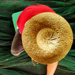 Liūto ūsai