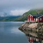 Nerile31