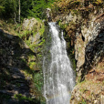 Rasiux