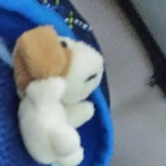 Ritutee