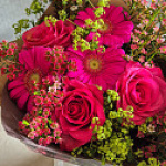 rose4
