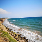 Sonca