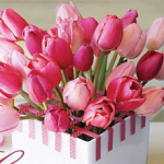 Ulia